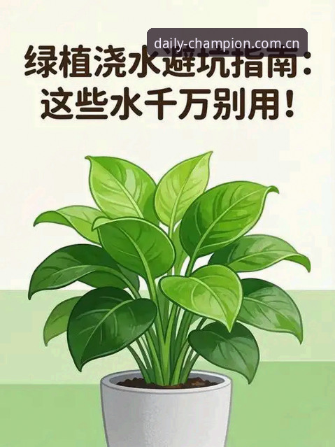 揭秘冠军白菜网论坛网CN手机版使用指南：避开这些坑，新手也能老练上手